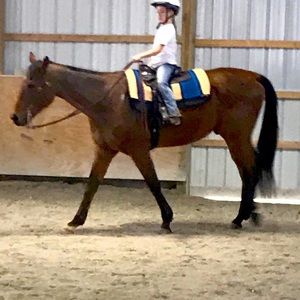 Meet your Posher, Amanda